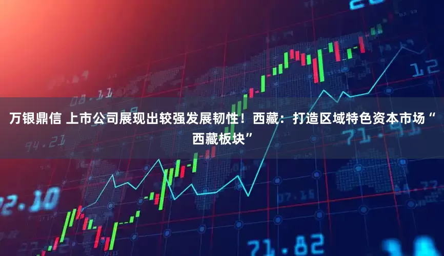 万银鼎信 上市公司展现出较强发展韧性！西藏：打造区域特色资本市场“西藏板块”