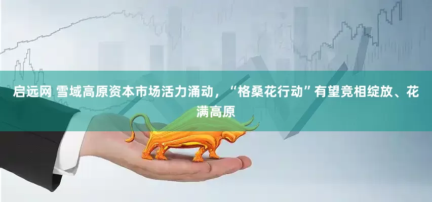启远网 雪域高原资本市场活力涌动，“格桑花行动”有望竞相绽放、花满高原