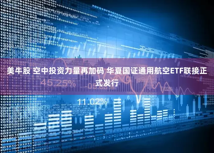 美牛股 空中投资力量再加码 华夏国证通用航空ETF联接正式发行