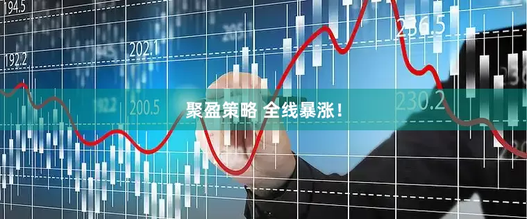 聚盈策略 全线暴涨！